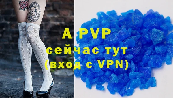 индика Майский