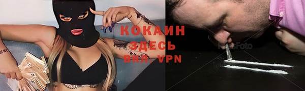 индика Майский