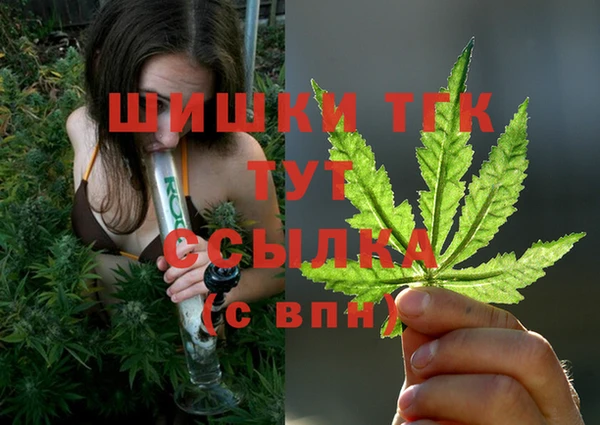 бошки Гусь-Хрустальный